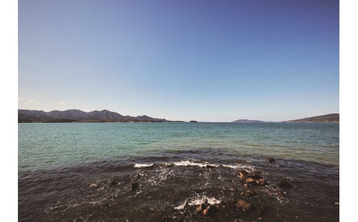 100ZEN 海の塩 200ｇ×50個セット 百姓の塩 百姓庵 長門市 大容量 まとめ買い 小分け お裾分け