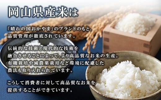 令和7年産 岡山県産米「にこまる」 10kg(5kg×2袋) 2026年4月発送 SS