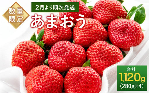 【数量限定】大粒 あまおう 約280g×4パック 計1.12kg いちご