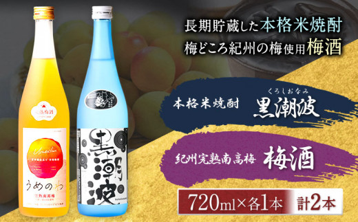 本格米焼酎 黒潮波 （くろしおなみ） と 紀州完熟南高梅 梅酒 720ml×各1本 2本セット 厳選館《90日以内に出荷予定(土日祝除く)》 和歌山県 日高町 酒 梅酒 焼酎 米焼酎 果実酒