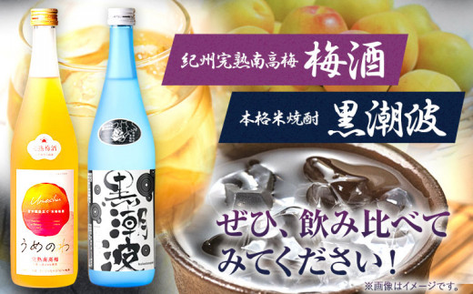 本格米焼酎 黒潮波 （くろしおなみ） と 紀州完熟南高梅 梅酒 720ml×各1本 2本セット 厳選館《90日以内に出荷予定(土日祝除く)》 和歌山県 日高町 酒 梅酒 焼酎 米焼酎 果実酒