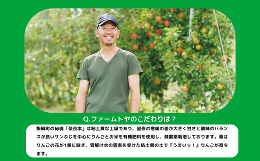 りんご シナノゴールド 家庭用 5kg ファームトヤ 沖縄県への配送不可 2024年11月中旬頃から2024年12月下旬頃まで順次発送予定 令和6年度収穫分 信州 果物 フルーツ リンゴ 林檎 長野 13000円 予約 農家直送 長野県 飯綱町 [1144]