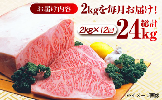 【月1回約2kg×12回定期便】長崎和牛 サーロインブロック 計24kg 長崎県/長崎県農協直販 [42ZZAA130]  肉 牛 和牛 サーロイン 塊 ブロック 西海市 長崎 九州 定期便