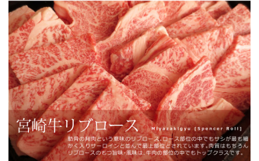 宮崎牛リブロース焼肉300g（36-187）