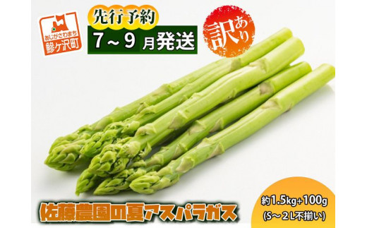 【先行予約2024年産】佐藤農園の夏アスパラガス！約1.5kg+100g（S～2L不揃い）【訳あり】【7月～9月発送】青森県鰺ヶ沢町産