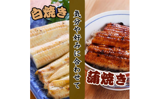 ＜蒲焼き用タレ付き＞うなぎ白焼き140g×3尾(冷凍・真空パック)【1497506】