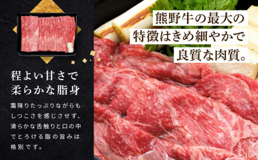 和歌山産 高級和牛『熊野牛』赤身すき焼き用 約600g【EG12】