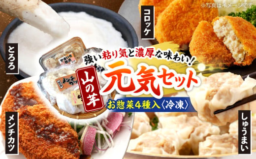 やまいも 贈答 ギフト 特産品 産地直送 取り寄せ お取り寄せ 送料無料 広島 三次 11000円