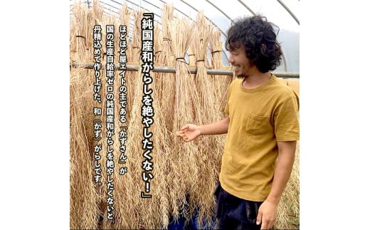 純国産石臼挽き 和がらし（粉）3個セット 【 国産 からし 和辛子 辛子 石臼挽き 粉和からし セット 和がらし 詰め合わせ 農家直送 贈答 プレゼント ギフト 京都 綾部 】