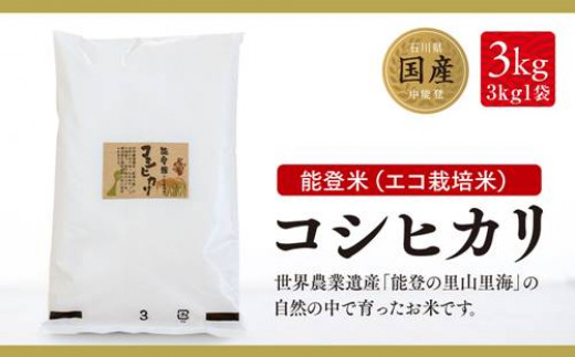 米 能登米 コシヒカリ 3kg [道の駅織姫の里なかのと 石川県 中能登町 27aa0001] こしひかり 白米 精米 ご飯 ごはん コメ こめ 家庭用 国産 中能登産