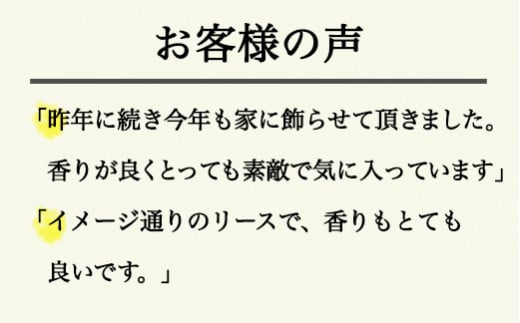 ６７７．シンプルだけど存在感「大きなグリーンリース」
※着日指定不可
※離島への配送不可
※2024年11月下旬頃より順次発送予定