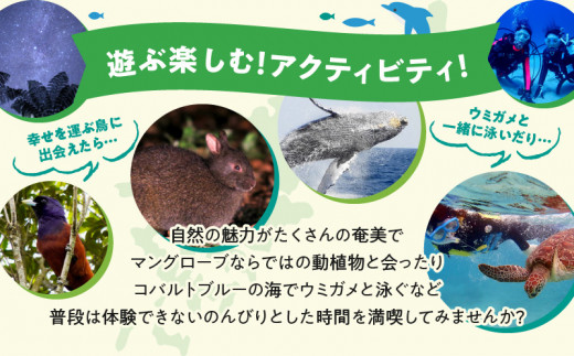 鹿児島県奄美市の対象ツアーに使えるHISふるさと納税クーポン 寄附額20,000円　HIS02