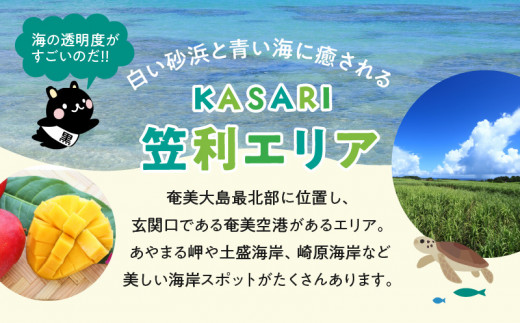 鹿児島県奄美市の対象ツアーに使えるHISふるさと納税クーポン 寄附額20,000円　HIS02