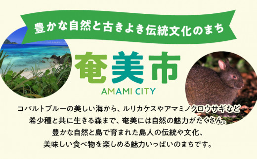 鹿児島県奄美市の対象ツアーに使えるHISふるさと納税クーポン 寄附額20,000円　HIS02