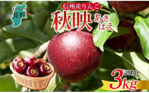 ＜25年発送 先行予約＞長野県産 りんご 秋映 訳あり 約3kg リンゴ 旬 フルーツ 訳アリ 林檎 果物 規格外 自家用 産地直送 農園 産直 お取り寄せ もぎたて 採れたて 送料無料 堀田農園 信州 大町市