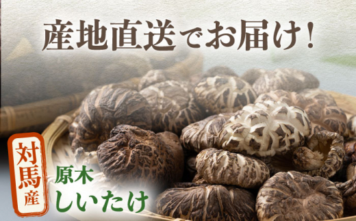 【全6回定期便】対馬産 原木 乾 しいたけ 360g《対馬市》【永留しいたけ農園】 肉厚 しいたけ シイタケ 椎茸 乾燥しいたけ 干ししいたけ [WAJ011]