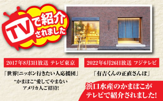 ばらもん揚げのお試しセット 計9枚 詰合せ かまぼこ 五島市 / 浜口水産 [PAI030]