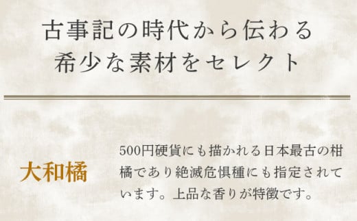 【天然素材のクラフトコーラ】 大和コーラ希釈用 720ml2本 / 15種類以上のスパイスとハーブで作った体に優しいコーラシロップ クラフトコーラ 希釈