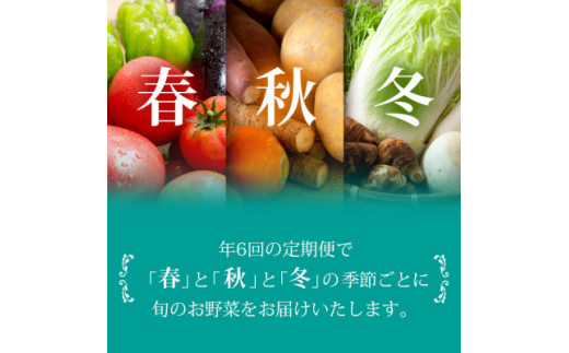 ＜発送月固定定期便＞枕崎には野菜もある!!定番・旬の野菜お任せセット HH0-0002 全6回【4057570】