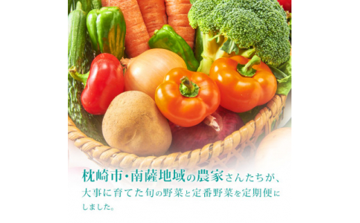 ＜発送月固定定期便＞枕崎には野菜もある!!定番・旬の野菜お任せセット HH0-0002 全6回【4057570】