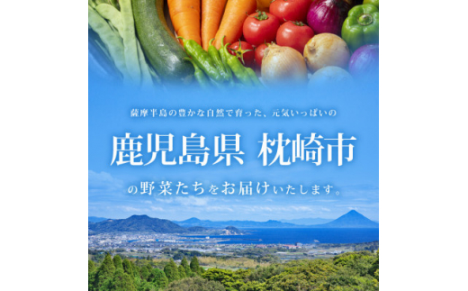 ＜発送月固定定期便＞枕崎には野菜もある!!定番・旬の野菜お任せセット HH0-0002 全6回【4057570】