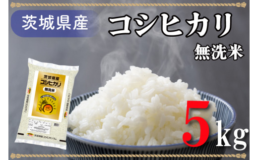 AL007　無洗米！茨城県産コシヒカリ５ｋｇ！令和5年産米！