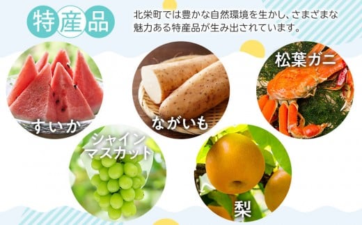 【品種はおまかせ】季節のりんご 10kg箱 ※2025年10月上旬～10月下旬頃に順次発送予定【りんご 林檎 フルーツ 果物 新鮮 先行予約 おまかせ 季節 鳥取県 北栄町 おすすめ 人気】