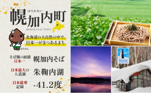 [№5795-0187] ＜2024年秋以降出荷＞ 北海道 かぼちゃ 蔵の匠 6個～8個 約10kg カボチャ 南瓜 パンプキン 旬 野菜 根菜 農作物 緑黄色野菜 北海道産 国産 人気 お取り寄せ 産地直送 北海道産