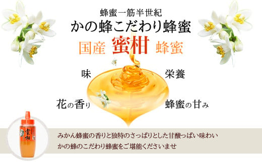 はちみつ 専門店【かの蜂】 国産 みかん 蜂蜜 500g 