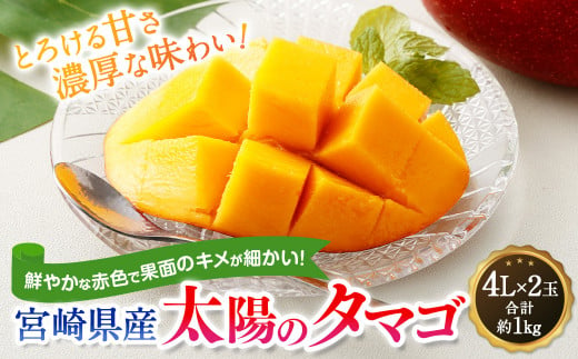 ＜宮崎県産太陽のタマゴ 限定100箱 4L×2玉(合計約1kg)＞