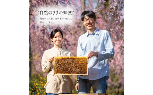 はちみつ 1kg (100g×10個) 国産 蜂蜜 ハニー シロップ 非加熱 天然 純粋 美容 健康 免疫 朝食 ヨーグルト パンケーキ ホットケーキ デザート スイーツ シャーベット アイス ケーキ 洋菓子 和菓子 メープル ギフト 贈答 プレゼント 常温 長期保存 備蓄 防災 保存食 防災グッズ 送料無料 徳島県 阿波市 井本養蜂園