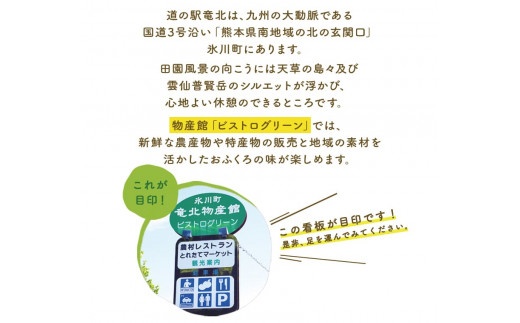 レンコン 約3kg 熊本県氷川町産 道の駅竜北《11月下旬-3月末頃出荷》 蓮根 野菜 きんぴら 熊本県氷川町