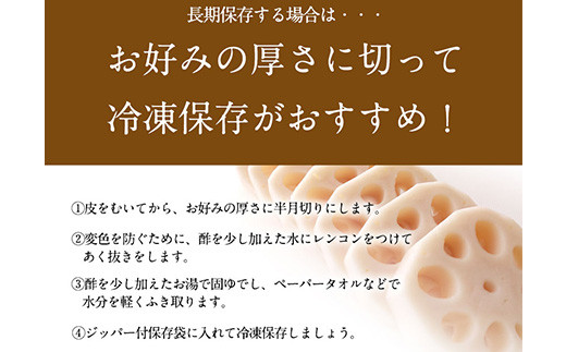 レンコン 約3kg 熊本県氷川町産 道の駅竜北《11月下旬-3月末頃出荷》 蓮根 野菜 きんぴら 熊本県氷川町