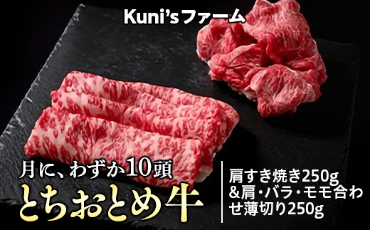 とちおとめ牛　肩すき焼き250g&肩・バラ・モモ合わせ薄切り250gセット