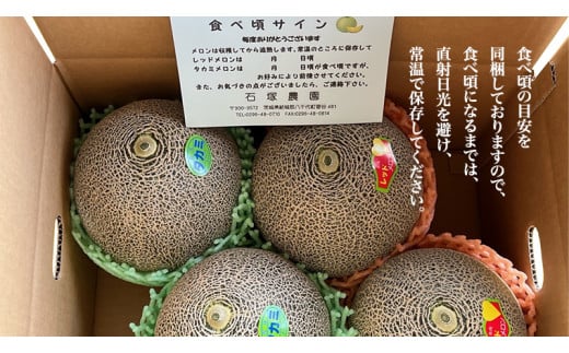 タカミレッド（赤肉）・タカミメロン（青肉）食べ比べ 2色 セット 合計4玉入り（約5kg～7kg）【2026年6月上旬以降発送】  期間限定 産地直送 農家直送 果物 フルーツ メロン タカミ たかみ 貴味 レッド 甘い 4玉 先行予約 先行受付 [BU003ya]