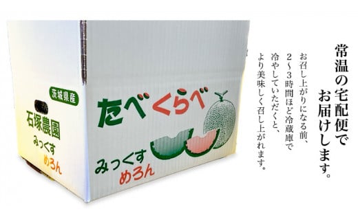 タカミレッド（赤肉）・タカミメロン（青肉）食べ比べ 2色 セット 合計4玉入り（約5kg～7kg）【2026年6月上旬以降発送】  期間限定 産地直送 農家直送 果物 フルーツ メロン タカミ たかみ 貴味 レッド 甘い 4玉 先行予約 先行受付 [BU003ya]