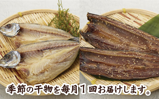 【四国一小さなまちの干物】～海の幸～土佐の天日干し干物セット カネアリ水産の干物定期便３ヶ月 季節の干物 加工食品 干物 天日干し ちりめんじゃこ 魚 冷凍