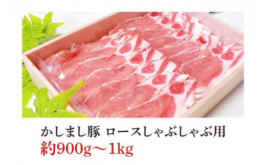 令和５年度 東京食肉市場豚枝肉共励会 最優秀賞受賞肉【かしまし豚】豚ロースしゃぶしゃぶ用 【ブランド豚 ロース 約1kg 大容量 茨城県 鹿嶋市】(KM-7)