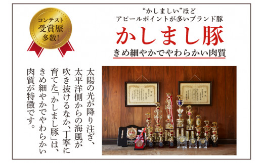 令和５年度 東京食肉市場豚枝肉共励会 最優秀賞受賞肉【かしまし豚】豚ロースしゃぶしゃぶ用 【ブランド豚 ロース 約1kg 大容量 茨城県 鹿嶋市】(KM-7)