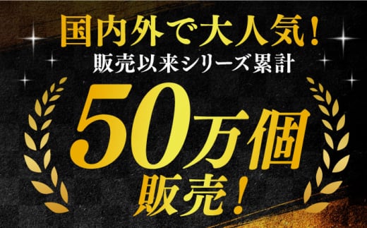 【累計販売50万個突破！】半熟生カステラ2種セット(プレーン・ショコラ) 長崎県/菓秀苑 森長 [42ADAE001] かすてら スイーツ チョコ お菓子