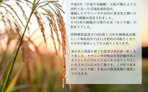 【定期便 10kg(5kg×2袋) 年3回発送】天授のお米『かぐや姫』（合計30kg+玄米茶300g）稀少品種 宮城県 東松島市 天授のお米 米 白米 こめ オンラインワンストップ 対応 自治体マイページ