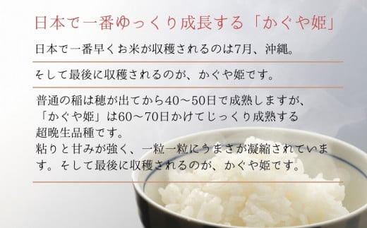 【定期便 10kg(5kg×2袋) 年3回発送】天授のお米『かぐや姫』（合計30kg+玄米茶300g）稀少品種 宮城県 東松島市 天授のお米 米 白米 こめ オンラインワンストップ 対応 自治体マイページ