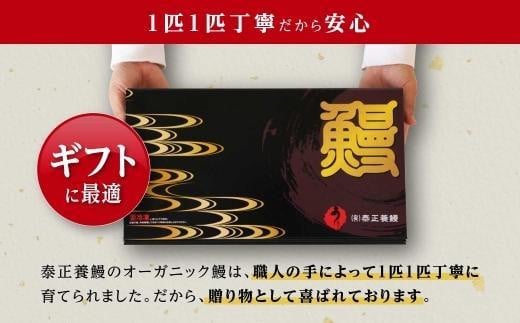 【数量限定】泰正オーガニックうなぎ蒲焼　特特大2尾合計400g以上