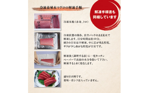 本マグロ（養殖）トロ＆赤身セット 1350g 【通常発送】 高級 クロマグロ  中トロ 中とろ まぐろ マグロ 鮪 刺身 赤身 柵 じゃばらまぐろ 本マグロ 本鮪【nks111B】