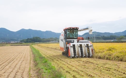 野上耕作舎 野上米ヒノヒカリ 無洗米5kg 2024年11月中旬より順次出荷