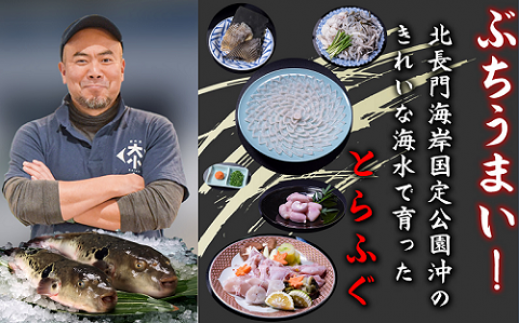 ふぐセット 3～4人前【ふぐ 刺身 とらふぐ あら ひれ酒 ポン酢 もみじおろし ふぐ刺身 120g ふぐ皮 120g あら 900g 干しひれ 6枚 堪能 年内配送】