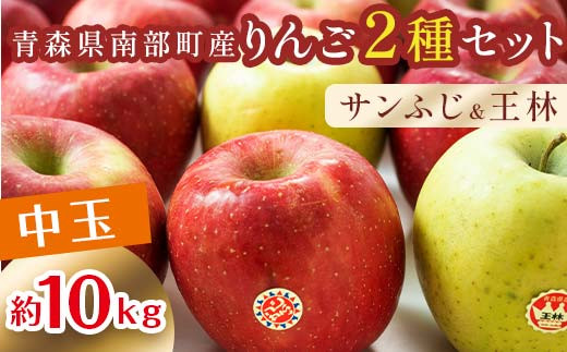 特 （中玉） 青森産 完熟 りんご 約10kg サンふじ 王林 2種セット 【誠果園】 青森りんご リンゴ 林檎 アップル あおもり 青森 青森県 南部町 三戸 南部 澁川賞受賞 果物 くだもの フルーツ F21U-223