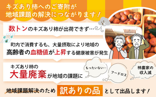 【2024年発送】数量限定《 訳あり 》10㎏ 次郎柿 たねなし 柿 かき フルーツ 家庭用 訳あり 規格外 わけあり 不揃い ふぞろい 種なし 干し柿 三重県 多気町 GF-09