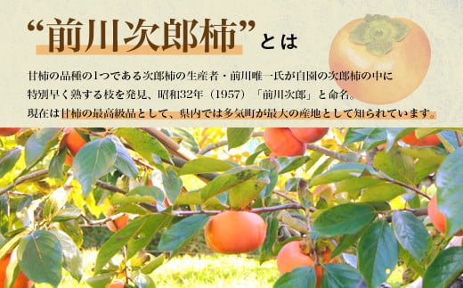 【2024年発送】数量限定《 訳あり 》10㎏ 次郎柿 たねなし 柿 かき フルーツ 家庭用 訳あり 規格外 わけあり 不揃い ふぞろい 種なし 干し柿 三重県 多気町 GF-09