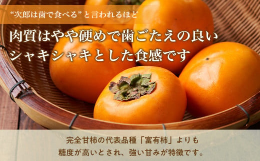 【2024年発送】数量限定《 訳あり 》10㎏ 次郎柿 たねなし 柿 かき フルーツ 家庭用 訳あり 規格外 わけあり 不揃い ふぞろい 種なし 干し柿 三重県 多気町 GF-09